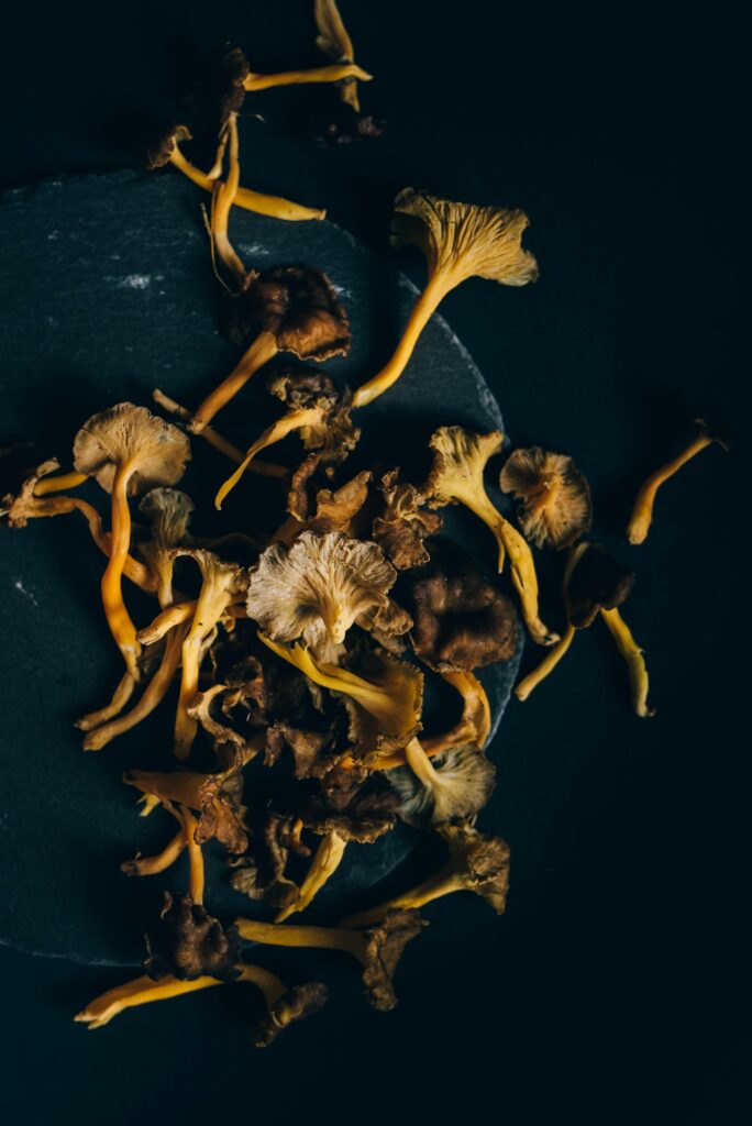 A flat lay of dried chanterelle mushrooms on a dark slate, ideal for culinary or healthy eating themes.