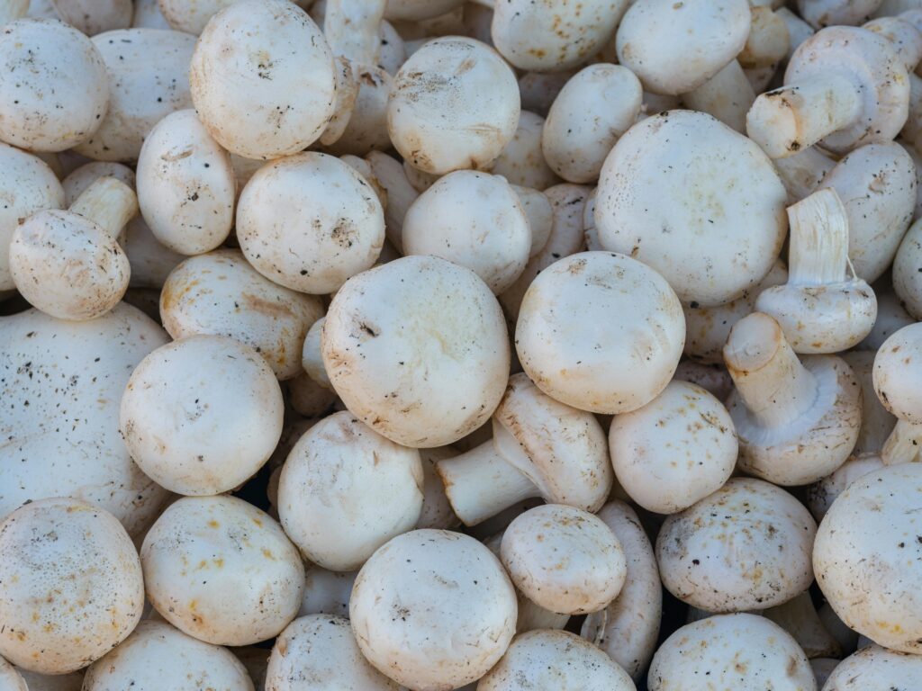 pexels photo 17924400 17924400 Pile of fresh white mushrooms, showcasing their organic quality and natural texture.